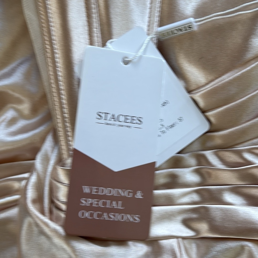 Stacees champagne Evening Gown/Prom dress - Picture 9 of 11